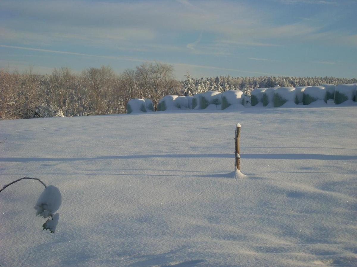 Location Vacances Des 4 Vents Girmont-Val-d'Ajol Exterior photo